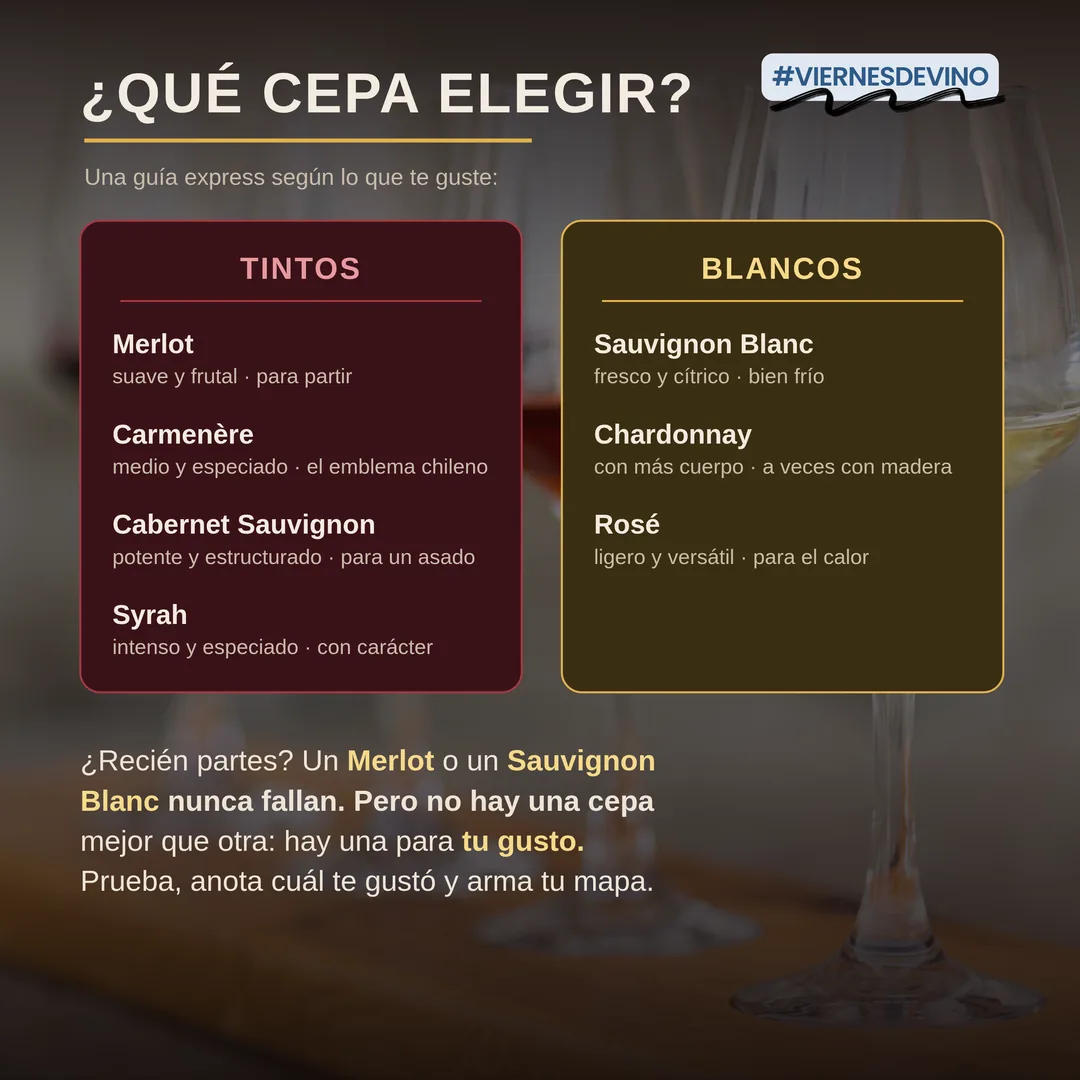 ¿Qué cepa elegir? Una guía express según lo que te guste. Tintos: Merlot, suave y frutal, para partir; Carmenère, medio y especiado, el emblema chileno; Cabernet Sauvignon, potente y estructurado, para un asado; Syrah, intenso y especiado, con carácter. Blancos: Sauvignon Blanc, fresco y cítrico, bien frío; Chardonnay, con más cuerpo, a veces con madera; Rosé, ligero y versátil, para el calor.