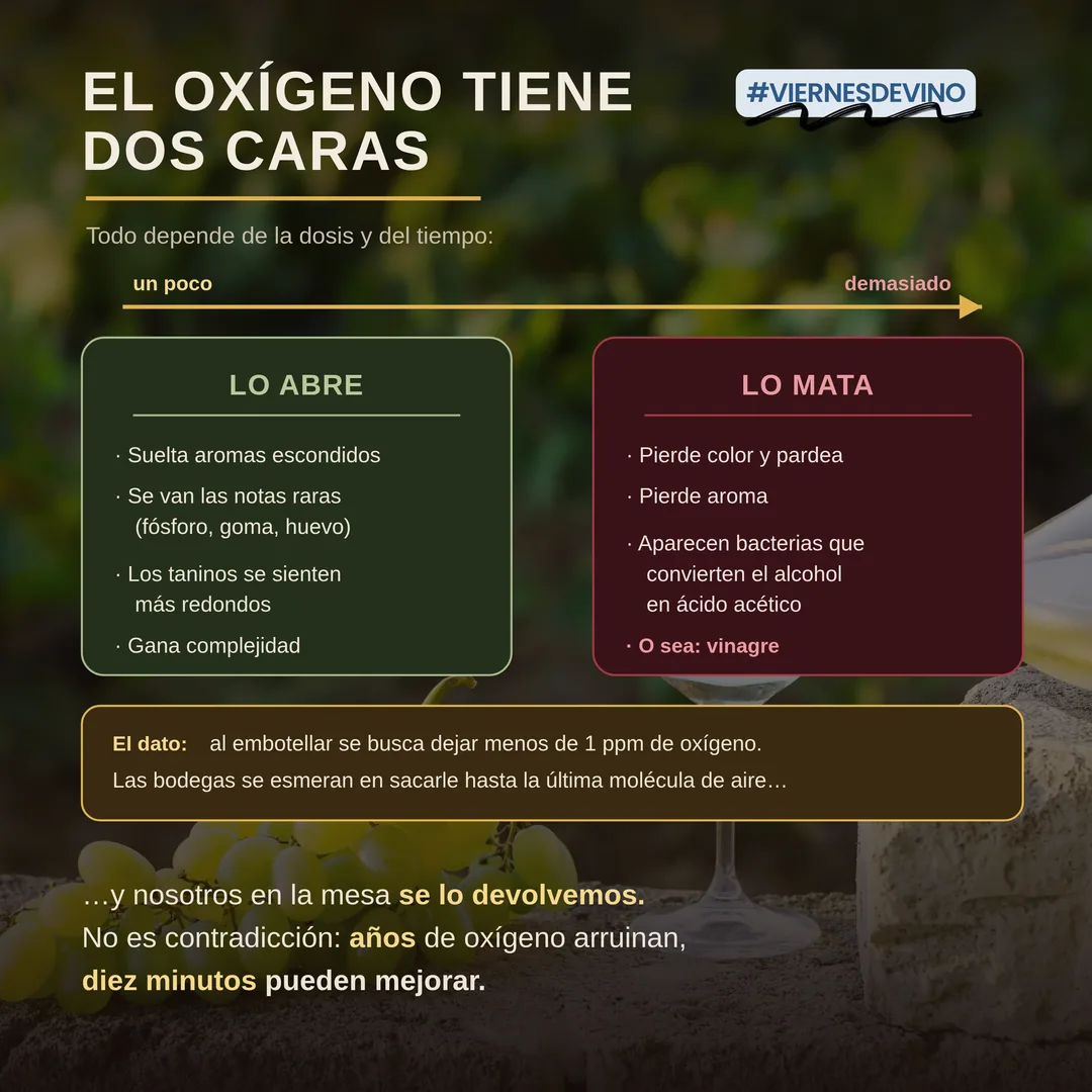 El oxígeno tiene dos caras y todo depende de la dosis y del tiempo. Un poco lo abre: suelta aromas escondidos, se van las notas raras a fósforo, goma o huevo, los taninos se sienten más redondos y gana complejidad. Demasiado lo mata: pierde color y pardea, pierde aroma, y aparecen bacterias que convierten el alcohol en ácido acético, o sea vinagre.