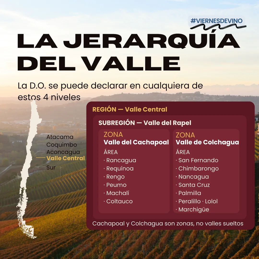 La jerarquía del valle: la denominación de origen se puede declarar en cualquiera de estos cuatro niveles. Región, Valle Central. Subregión, Valle del Rapel. Dentro de ella dos zonas: Valle del Cachapoal, con las áreas de Rancagua, Requínoa, Rengo, Peumo, Machalí y Coltauco; y Valle de Colchagua, con San Fernando, Chimbarongo, Nancagua, Santa Cruz, Palmilla, Peralillo, Lolol y Marchigüe. Cachapoal y Colchagua son zonas, no valles sueltos.