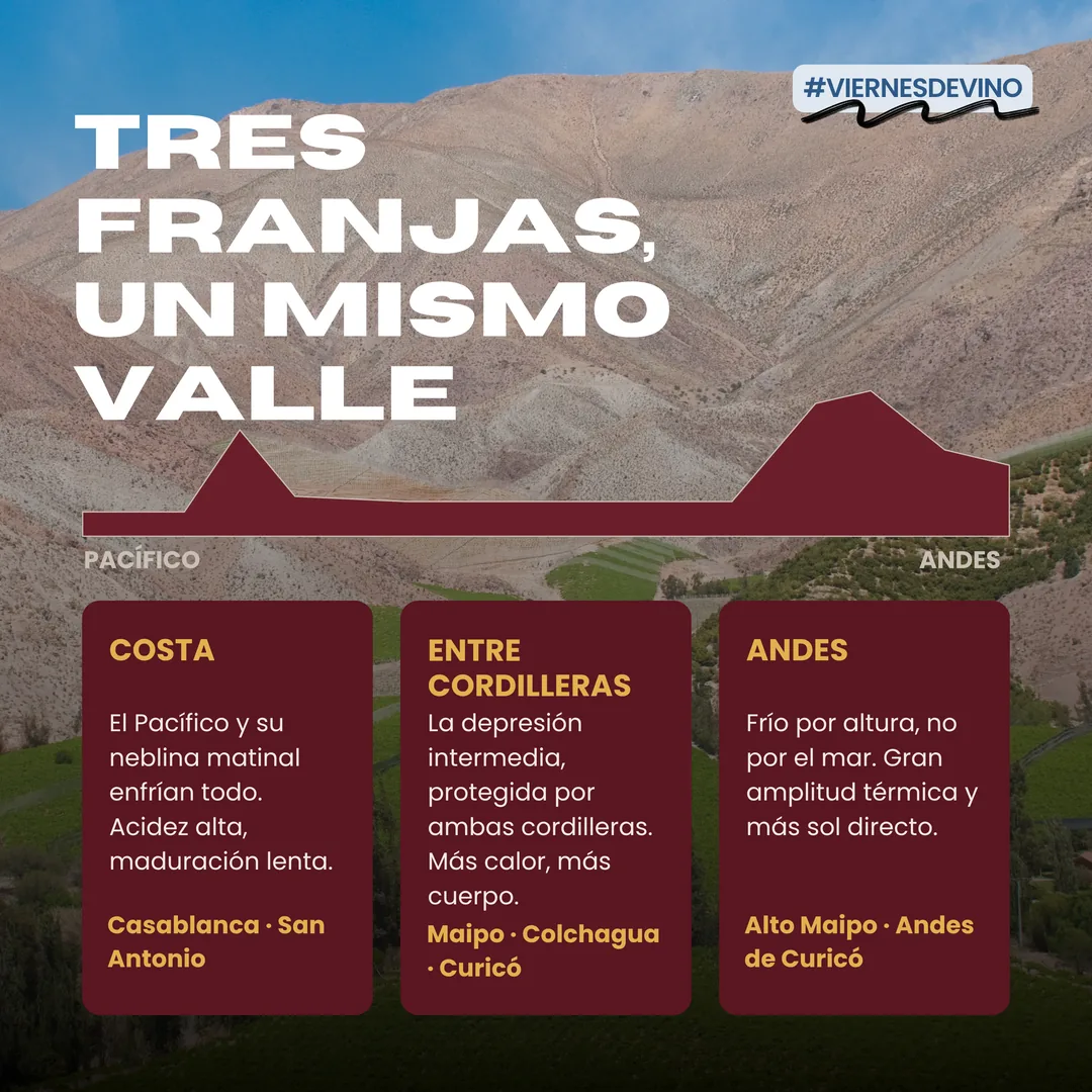 Tres franjas, un mismo valle, en un corte transversal del Pacífico a los Andes. Costa: el Pacífico y su neblina matinal entran todo, acidez alta y maduración lenta; Casablanca y San Antonio. Entre Cordilleras: la depresión intermedia, protegida por ambas cordilleras, más calor y más cuerpo; Maipo, Colchagua y Curicó. Andes: frío por altura, no por mar, gran amplitud térmica y más sol directo; Alto Maipo y Andes de Curicó.