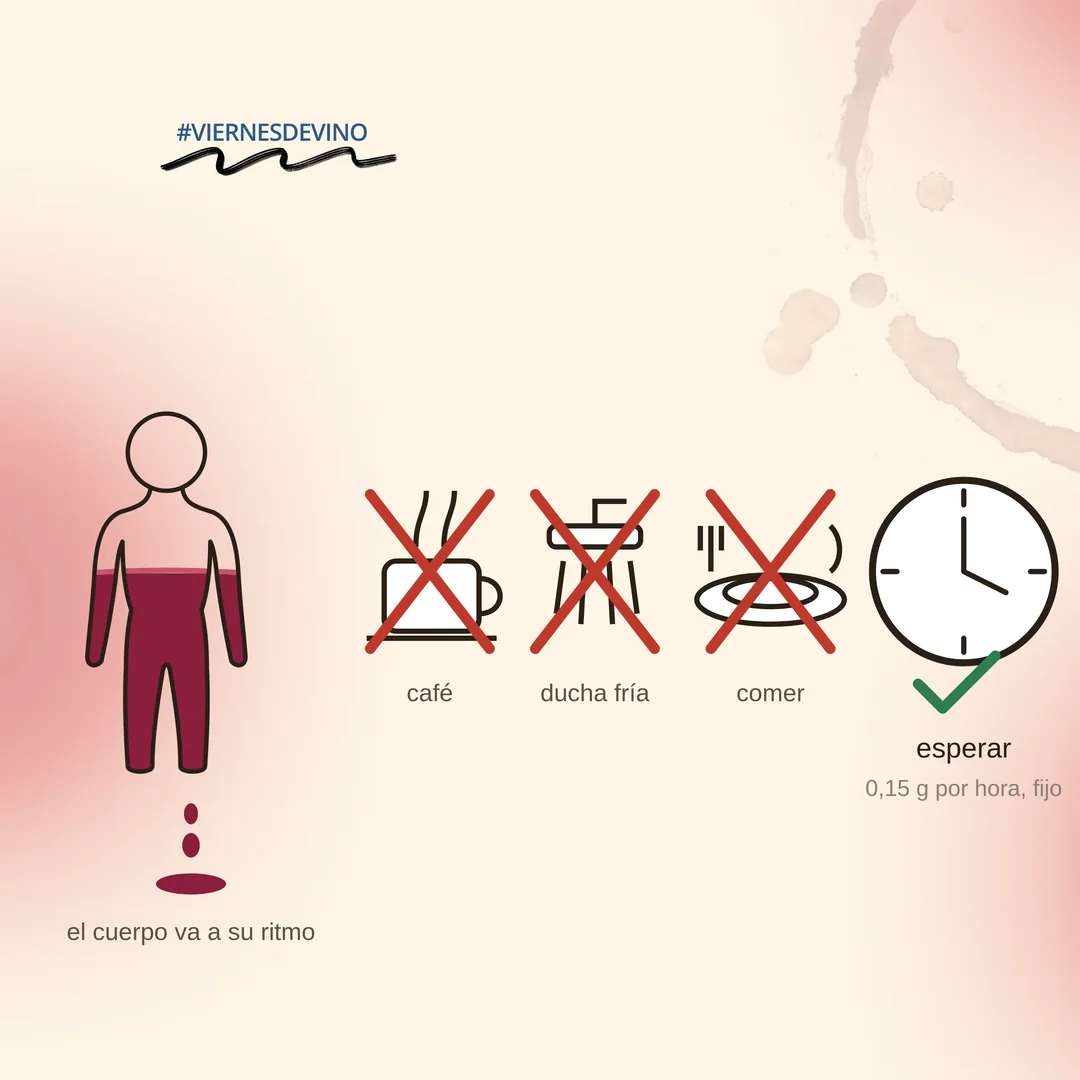 El cuerpo va a su ritmo: el café, la ducha fría y comer aparecen tachados porque no aceleran nada. Lo único que funciona es esperar, a 0,15 gramos por hora, un ritmo fijo.