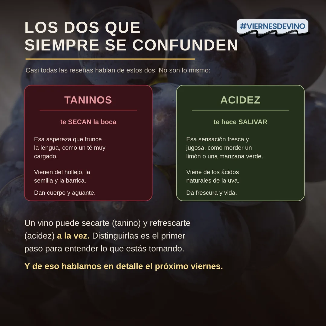 Los dos que siempre se confunden. Los taninos te SECAN la boca: esa aspereza que frunce la lengua, vienen del hollejo, la semilla y la barrica, y dan cuerpo y aguante. La acidez te hace SALIVAR: esa sensación fresca y jugosa, como morder un limón o una manzana verde, viene de los ácidos naturales de la uva y da frescura y vida. Un vino puede secarte y refrescarte a la vez; distinguirlos es el primer paso para entender lo que estás tomando.