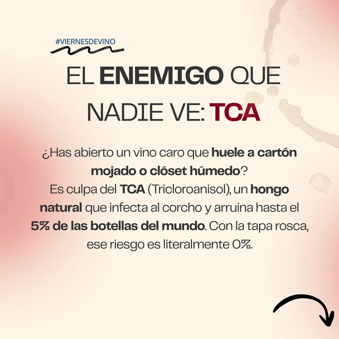 El enemigo que nadie ve: TCA. El tricloroanisol es un hongo natural que infecta el corcho y arruina hasta el 5% de las botellas del mundo, dándoles olor a cartón mojado. Con tapa rosca ese riesgo es 0%.