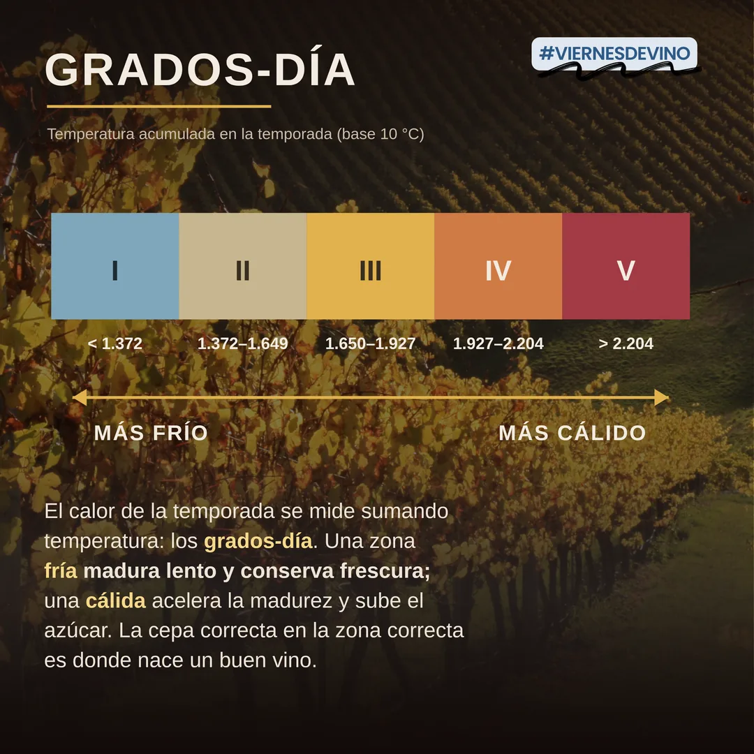 Grados-día: el calor de la temporada se mide sumando temperatura, en una escala de cinco regiones, de la I, bajo 1.372 grados-día y más fría, a la V, sobre 2.204 y más cálida. Una zona fría madura lento y conserva frescura; una cálida acelera la madurez y sube el azúcar.