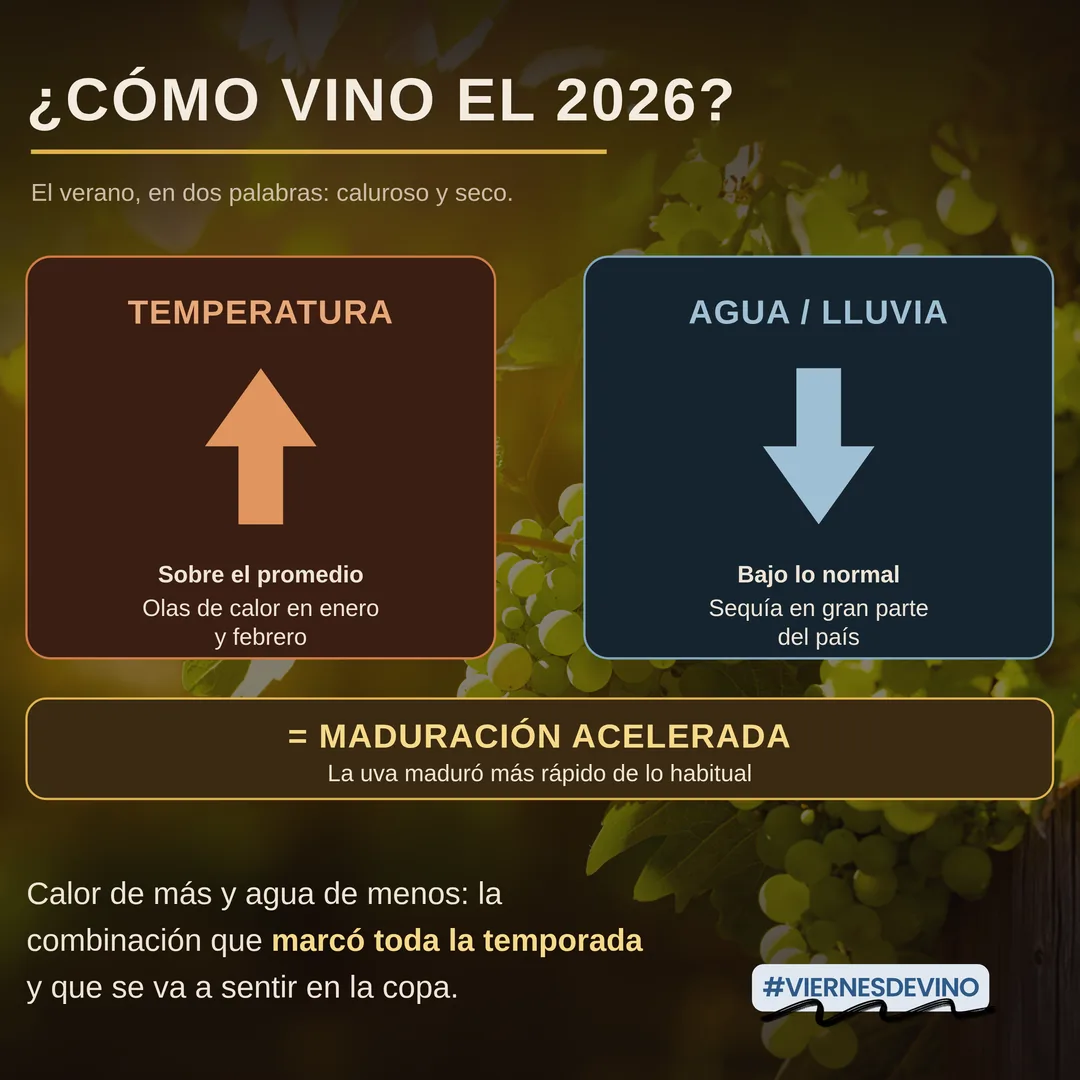 ¿Cómo vino el 2026? El verano en dos palabras: caluroso y seco. Temperatura sobre el promedio, con olas de calor en enero y febrero. Agua y lluvia bajo lo normal, con sequía en gran parte del país. El resultado es maduración acelerada: la uva maduró más rápido de lo habitual. Calor de más y agua de menos, la combinación que marcó toda la temporada.