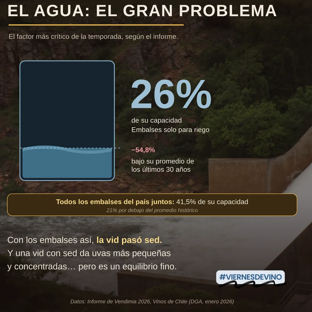 El agua, el gran problema: el factor más crítico de la temporada según el informe. Los embalses destinados solo a riego terminaron enero con el 26% de su capacidad, un 54,8% bajo su promedio de los últimos 30 años. Todos los embalses del país juntos llegaron al 41,5% de su capacidad, 21% por debajo del promedio histórico. Con los embalses así, la vid pasó sed: uvas más pequeñas y concentradas, pero en un equilibrio fino. Datos del Informe de Vendimia 2026 de Vinos de Chile y la DGA, enero 2026.